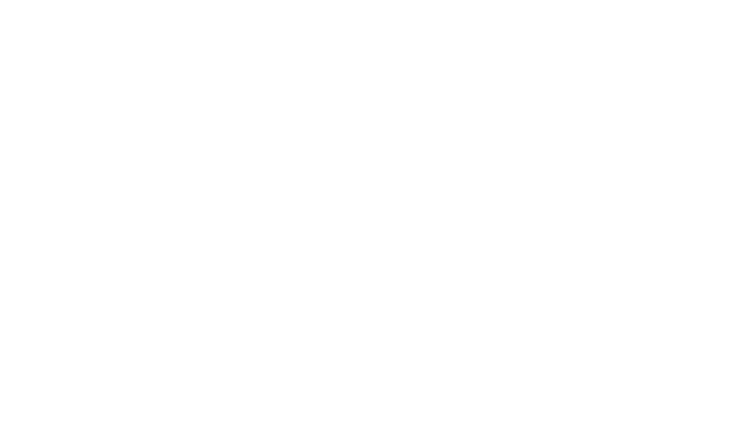 v3v